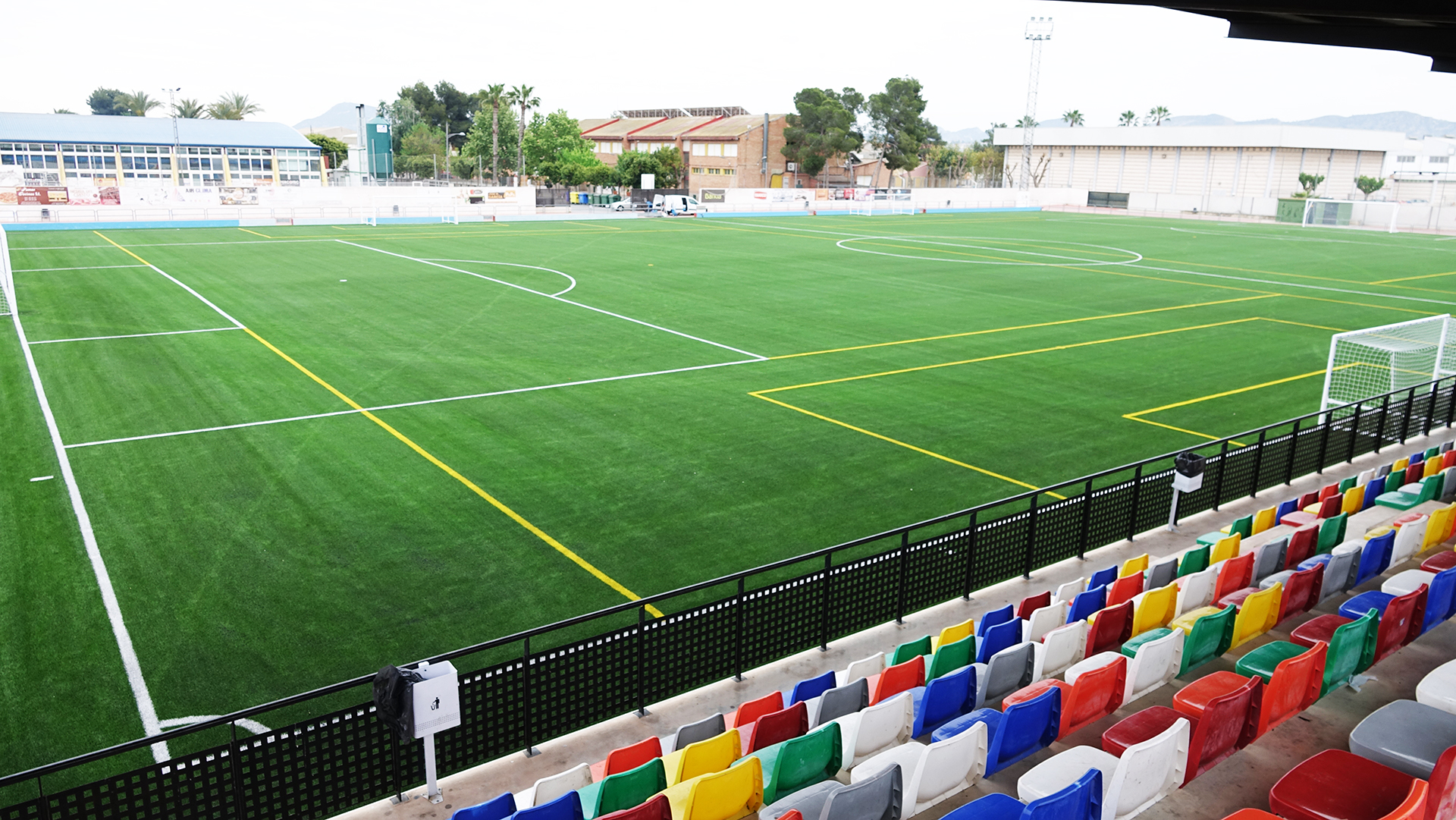 césped deportivo