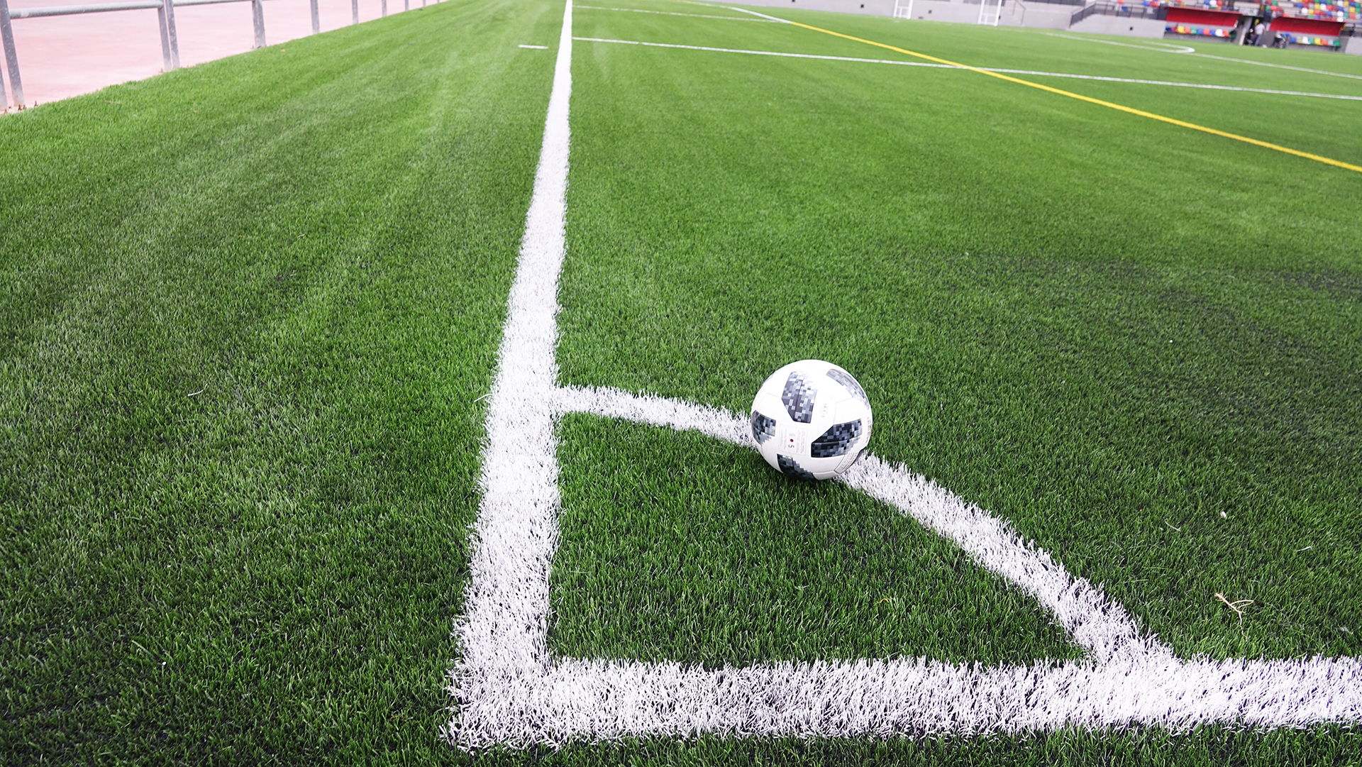césped deportivo 1